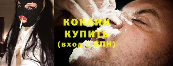 ПСИЛОЦИБИНОВЫЕ ГРИБЫ Арсеньев