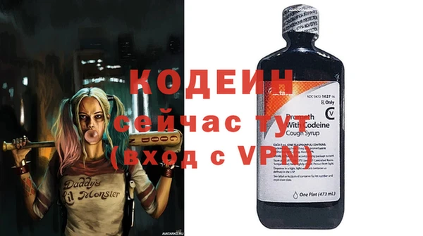 ПСИЛОЦИБИНОВЫЕ ГРИБЫ Арсеньев