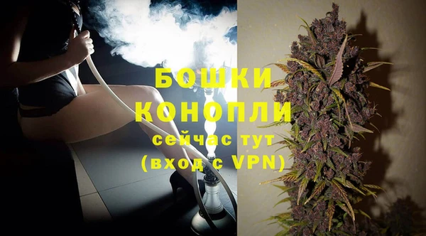 эйфоретик Ельня