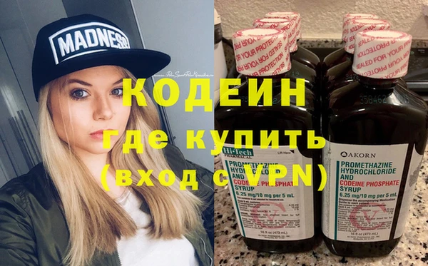 ПСИЛОЦИБИНОВЫЕ ГРИБЫ Арсеньев
